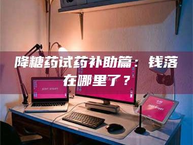 赤壁降糖药试药补助篇：钱落在哪里了？