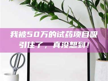 赤壁我被50万的试药项目吸引住了，真没想到！