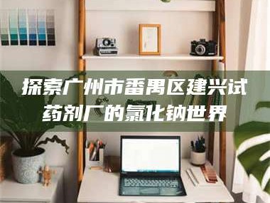 赤壁探索广州市番禺区建兴试药剂厂的氯化钠世界