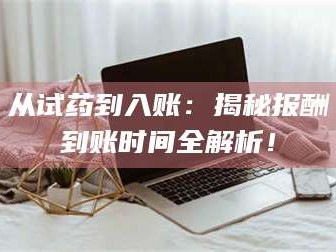 赤壁从试药到入账：揭秘报酬到账时间全解析！