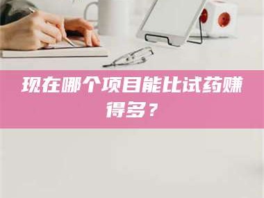 赤壁现在哪个项目能比试药赚得多？