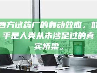 赤壁西方试药厂的轰动效应，似乎是人类从未涉足过的真实桥梁。