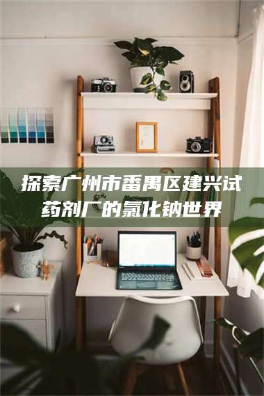 赤壁探索广州市番禺区建兴试药剂厂的氯化钠世界 第1张