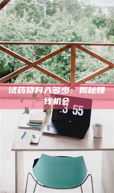 赤壁试药贷月入多少：揭秘赚钱机会 第1张