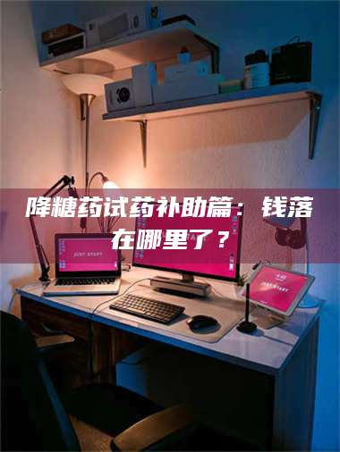 赤壁降糖药试药补助篇：钱落在哪里了？ 第1张