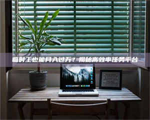 赤壁临时工也能月入过万？揭秘高效率任务平台 第1张