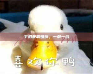 赤壁手机兼职赚钱,一单一结 第1张 赤壁手机兼职赚钱,一单一结 第1张