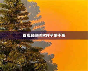 赤壁看视频赚钱软件苹果手机 第1张